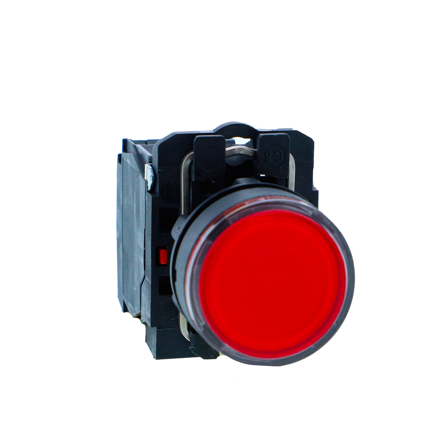 PUSHBUTTON WITH INDICATOR